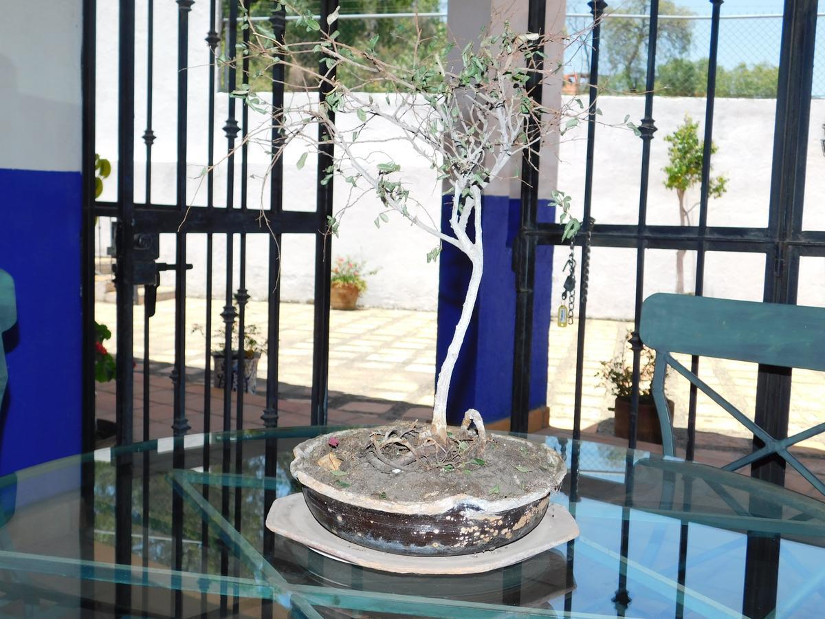 Casa Erizo 39 (Adults Only) Hotel Guanajuato Eksteriør billede