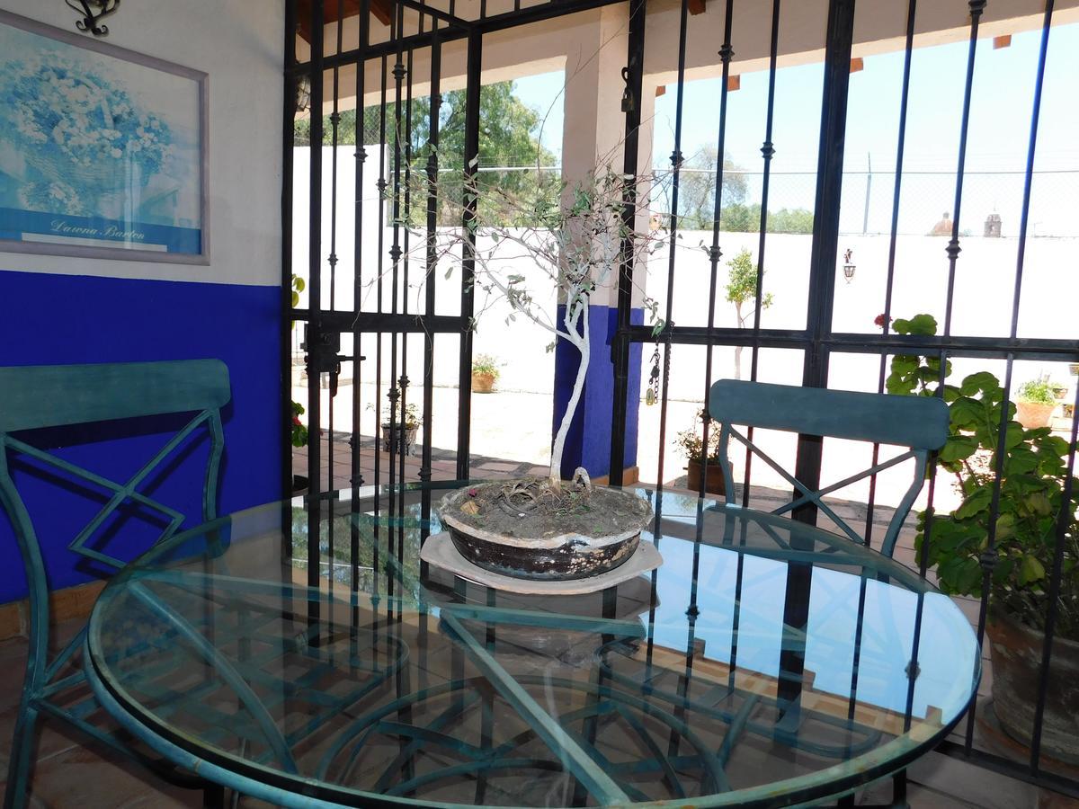 Casa Erizo 39 (Adults Only) Hotel Guanajuato Eksteriør billede