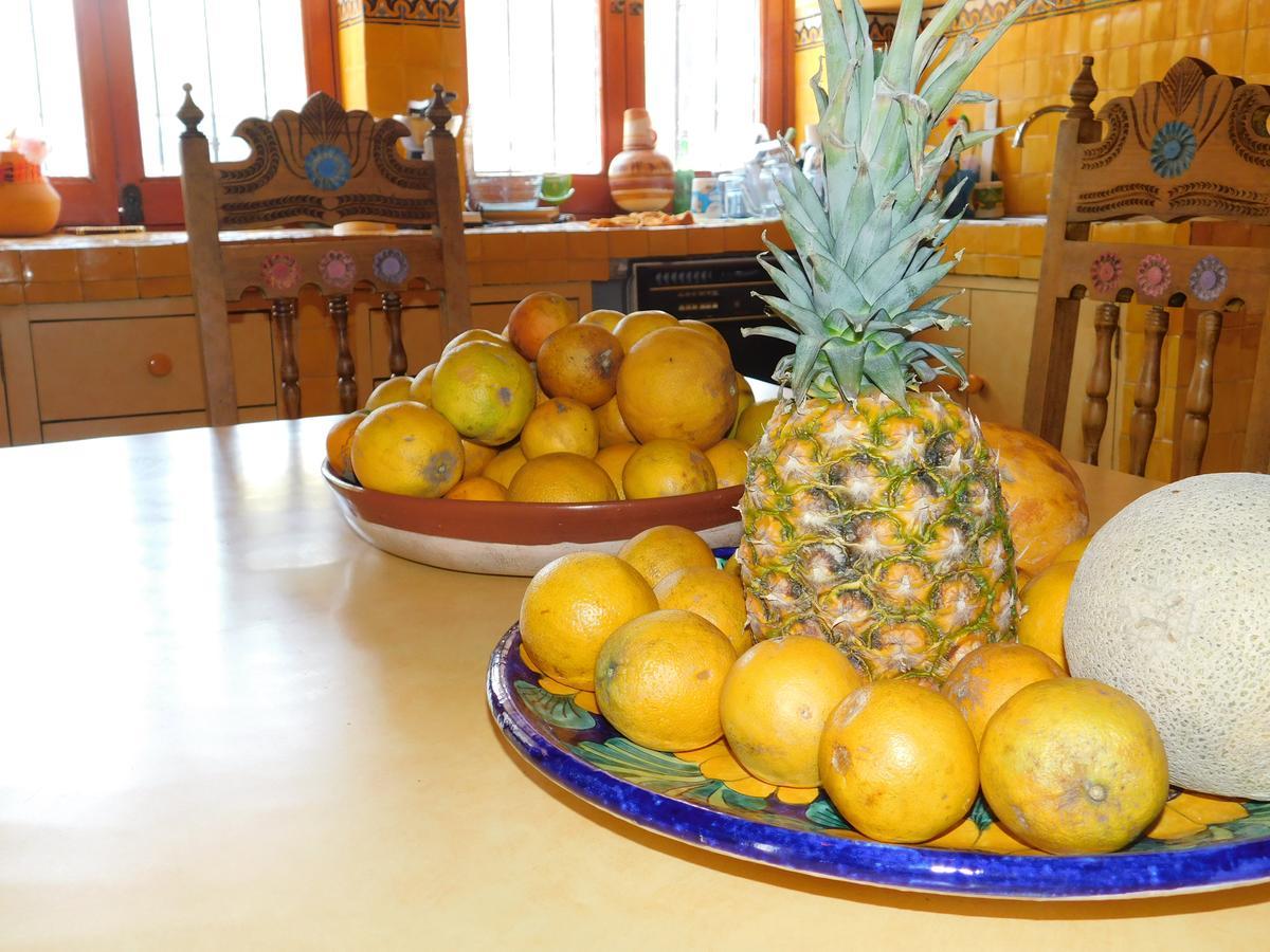 Casa Erizo 39 (Adults Only) Hotel Guanajuato Eksteriør billede